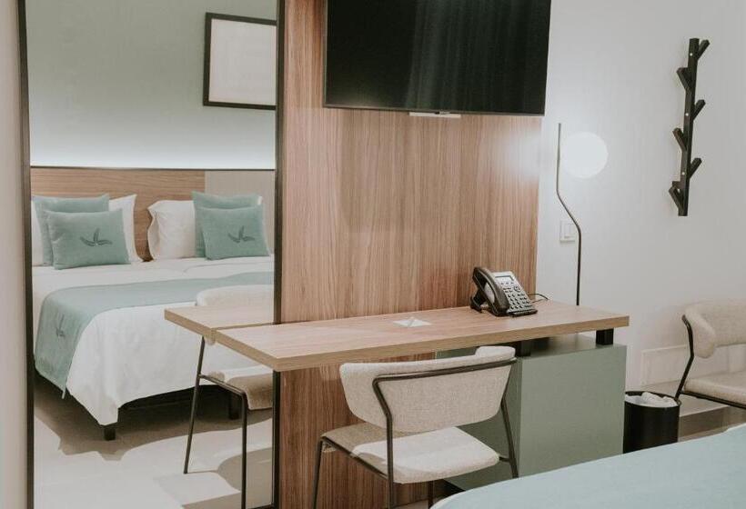 اتاق استاندارد پلاس, Catalina Plaza Sostenible