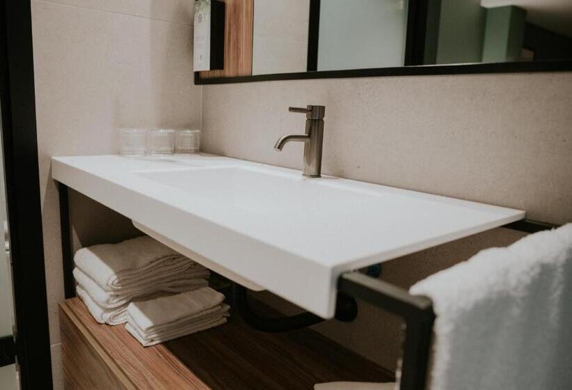 اتاق اجرایی, Catalina Plaza Sostenible