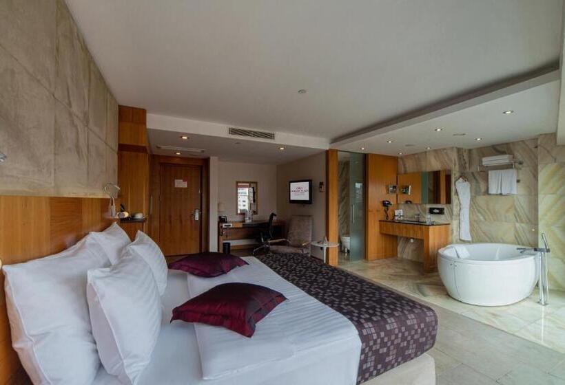 高级客房, Crowne Plaza Istanbul Harbiye, An Ihg