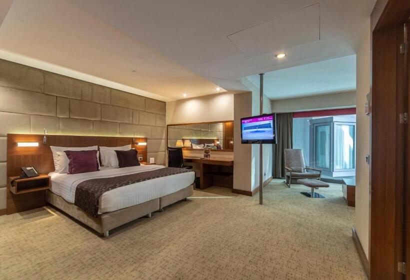 جناح جونيور سرير كينج, Crowne Plaza Istanbul Harbiye, An Ihg