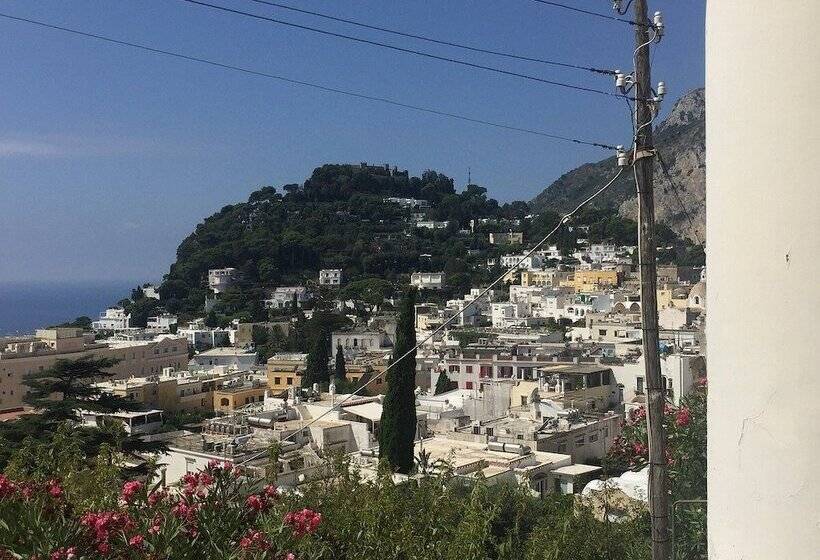 اتاق سوپریور با چشمانداز دریا, Esperia