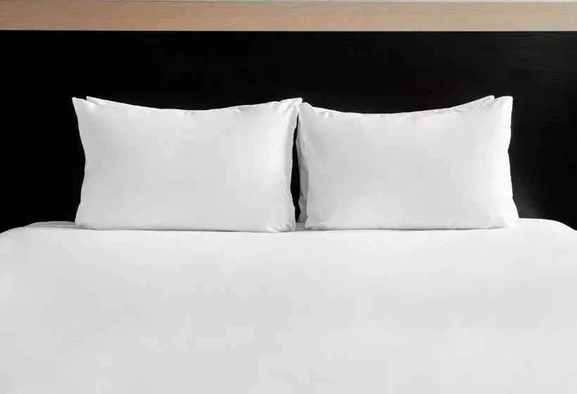 Sviitti, Holiday Inn Bristol City Centre, An Ihg