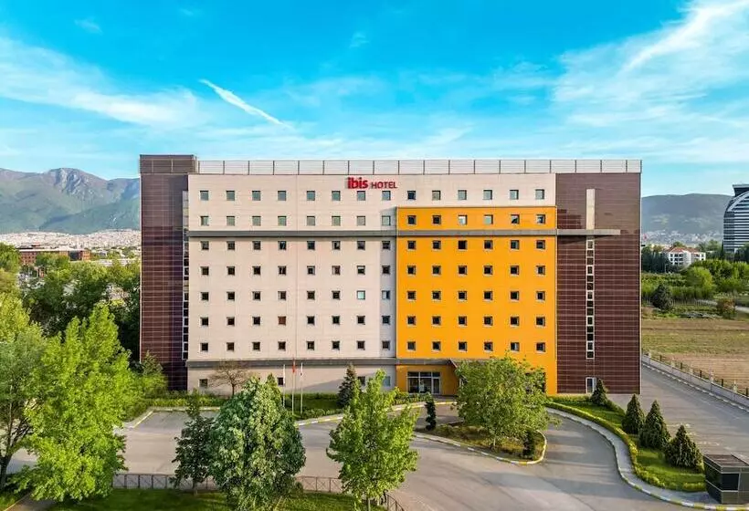 Camera Standard, Ibis Bursa