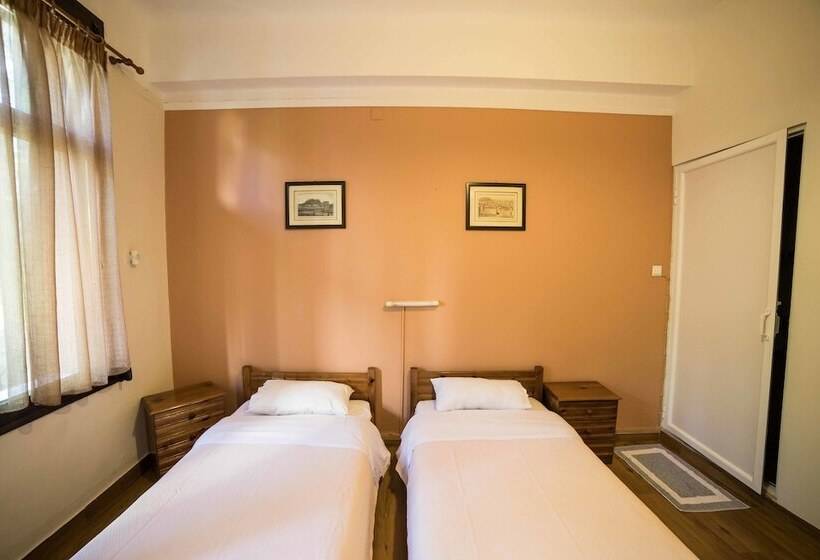 غرفة قياسية, Tempi