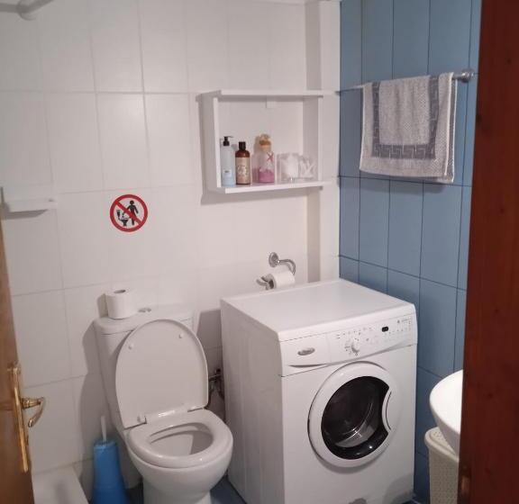 דירת שני חדרים, Villa Constantsia