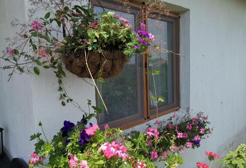 Номер Deluxe Кровать Кинг, House Albena