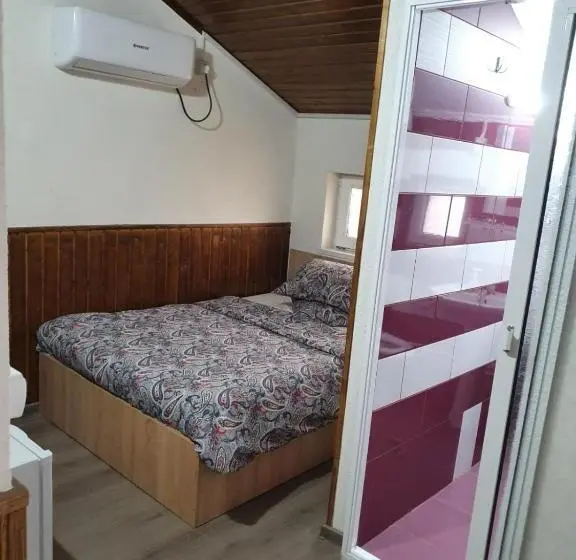 اتاق استاندارد, Casa Radu