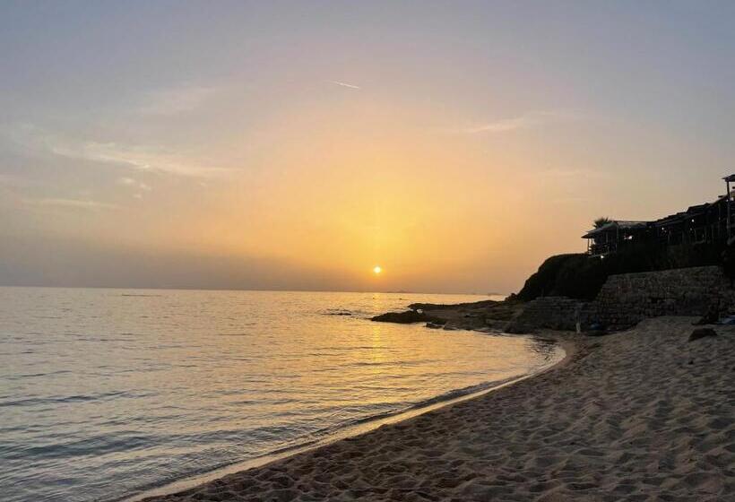 침실 1개 바다 전망 아파트, Appart T2