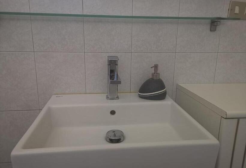 חדר סטנדרט חדר אמבטיה משותף, Aquarium Room Fish And Gastropods