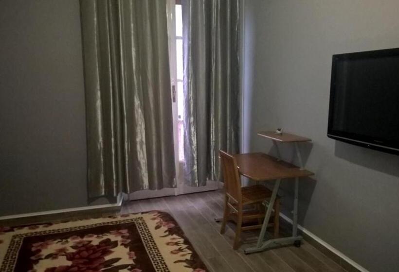 חדר סטנדרט חדר אמבטיה משותף, Aquarium Room Fish And Gastropods