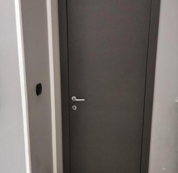 חדר סטנדרט חדר אמבטיה משותף, Aquarium Room Fish And Gastropods