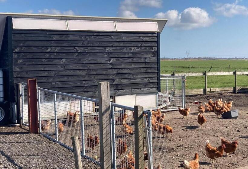 Семейное Студио, B&b Zunderdorp