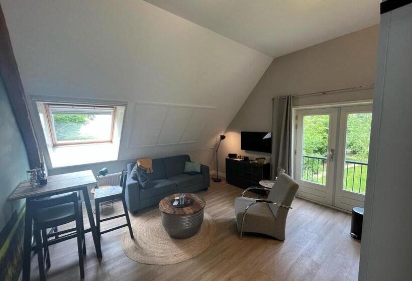 غرفة ديلوكس, De Buitenhof