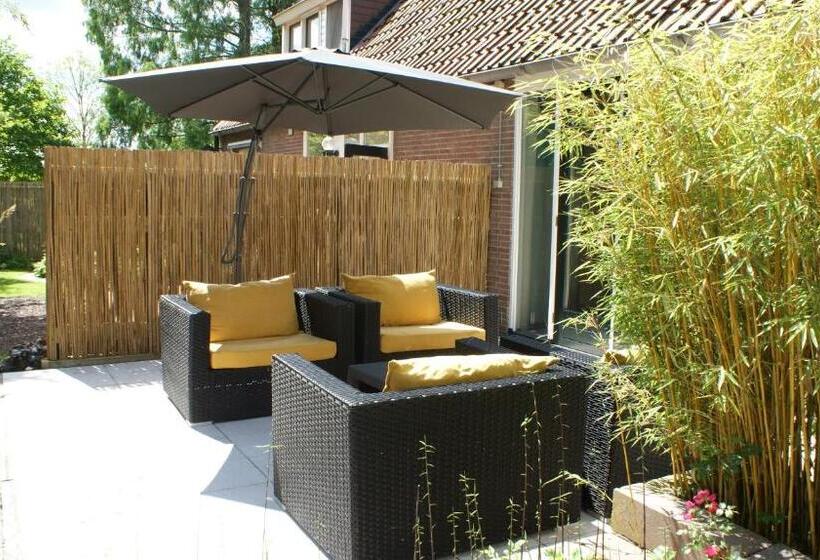 غرفة قياسية, De Buitenhof