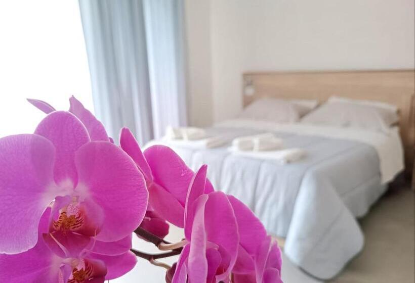 Standard Szoba, Civico 72