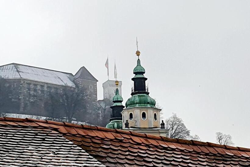 استودیو استاندارد با بالکن, Petkovšek Rooms And Apartments