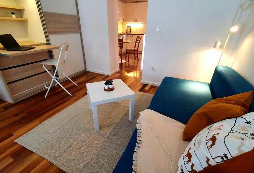 استودیو استاندارد با بالکن, Petkovšek Rooms And Apartments