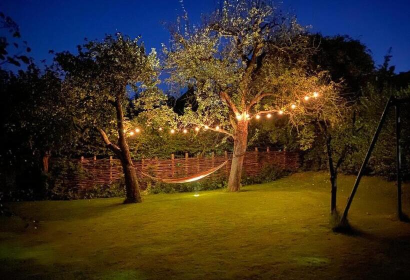 استودیوی لوکس, B&b De Lage Zwaluw