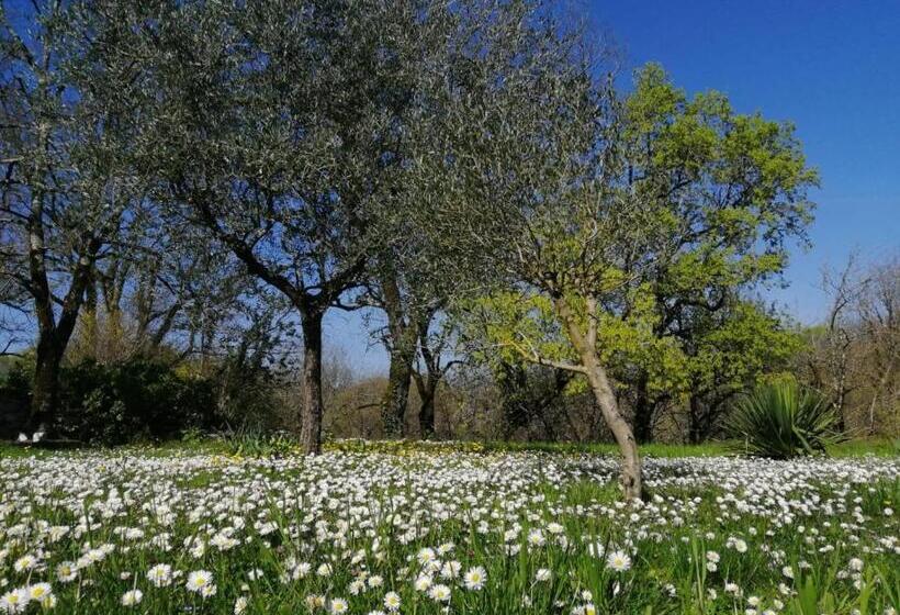 Дом 1 Спальня, Domaine De Séguéla