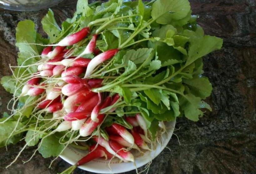 Дом 1 Спальня, Domaine De Séguéla