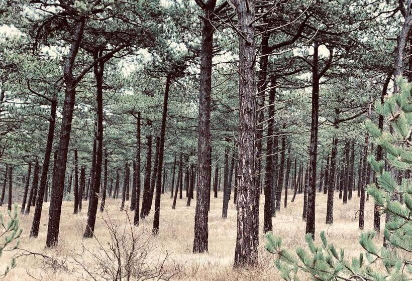 带1个卧室的带阳台的公寓, Appartementen Sonnenhof