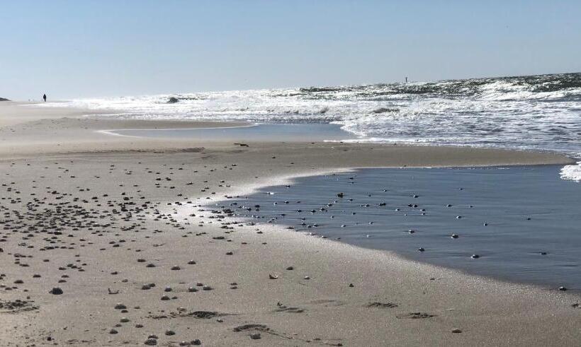 带2个卧室的公寓, Appartementen Sonnenhof