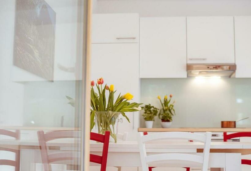 استودیو خانوادگی, Campingplatz Mittagsspitze