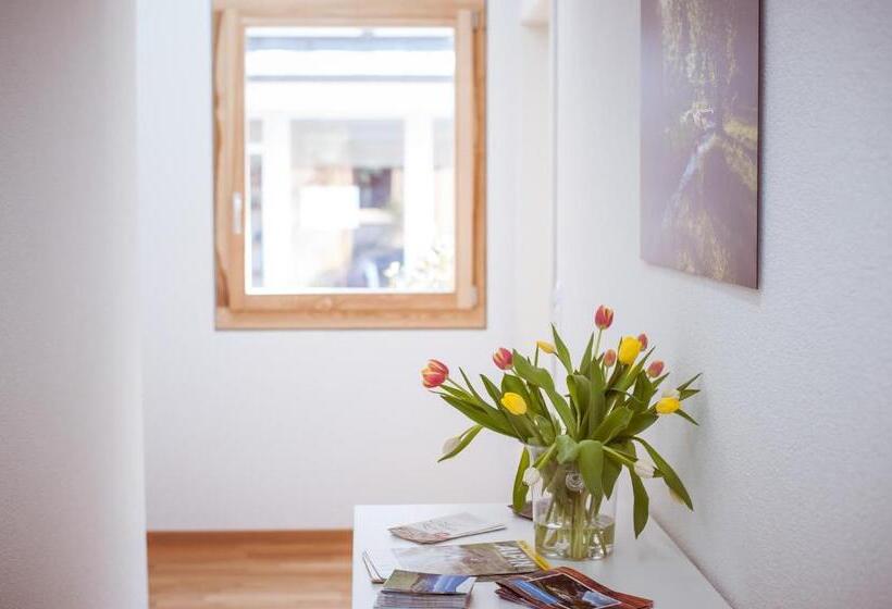 اتاق استاندارد با سرویس بهداشتی مشترک, Campingplatz Mittagsspitze