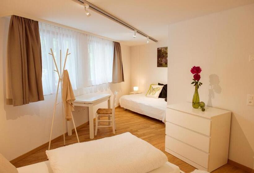 آپارتمان 2 خوابه, Campingplatz Mittagsspitze