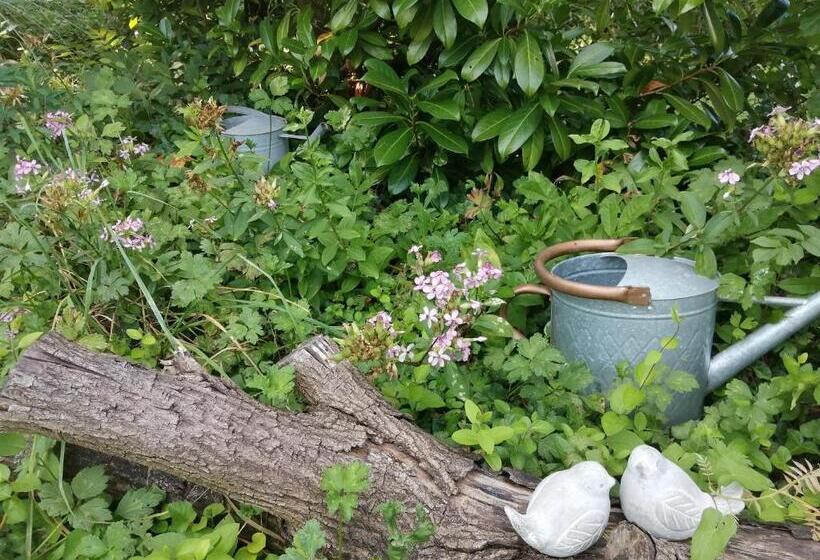 Семейный Номер, La Maison O Kiwis   Chambres D Hôtes