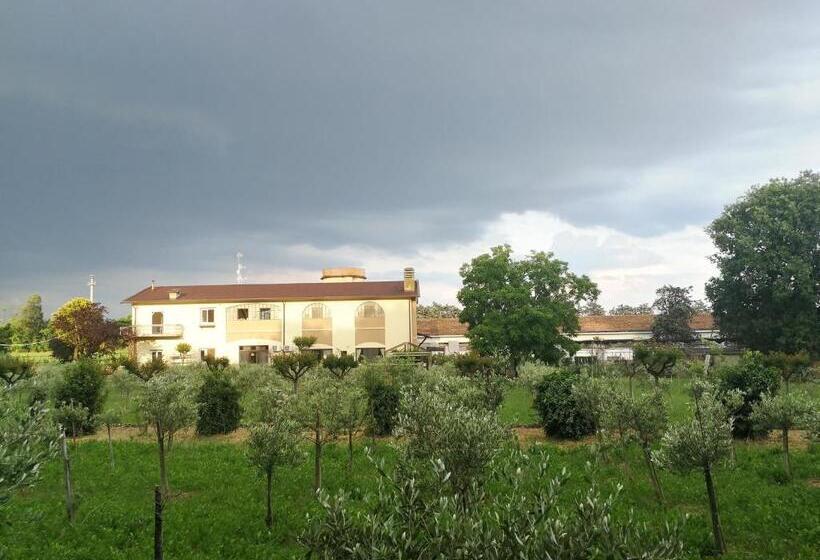 キングサイドベッドのスタンダードワンルーム, Agriturismo Monteroseo