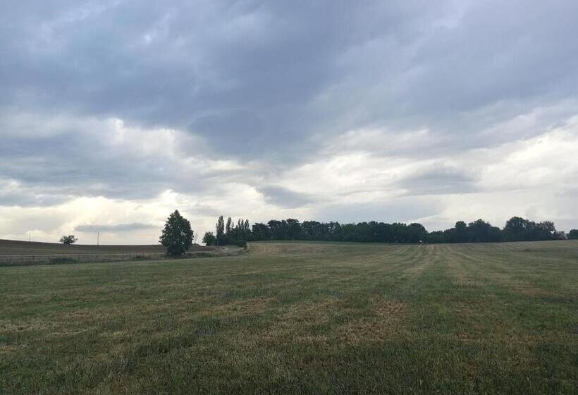 キングサイドベッドのスタンダードワンルーム, Agriturismo Monteroseo