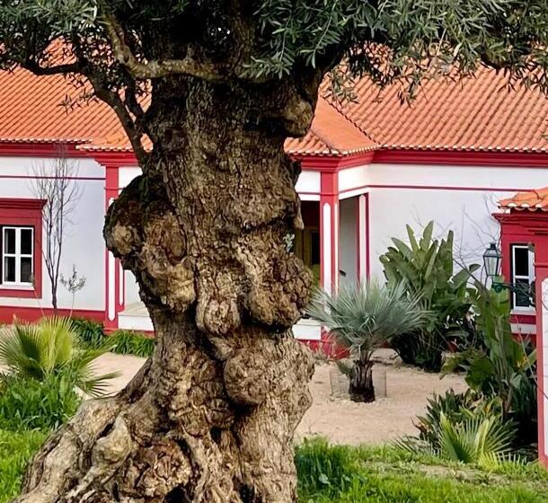 اتاق استاندارد با چشم‌انداز باغ, Best Luxury Boutique B&b Vista Do Vale Tomar
