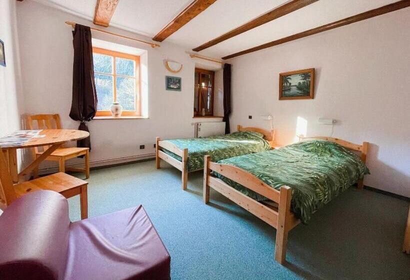 スタンダードルーム, Domaine Saint Michel D Alsace Centre Zen Universel à Thérapies De Bien être