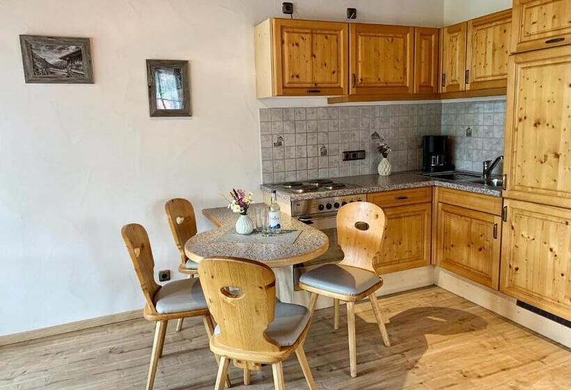 Апартаменты 1 Спальня с Балконом, Gästehaus Zur Schmiede