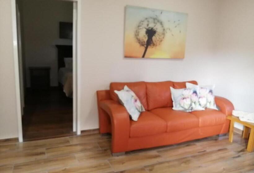 デラックスルーム, Joy On Joyce