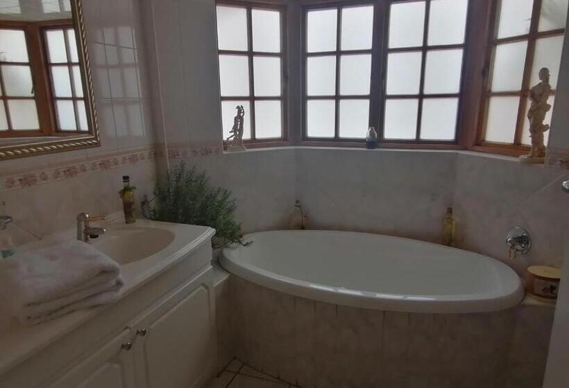 デラックスルーム, Joy On Joyce