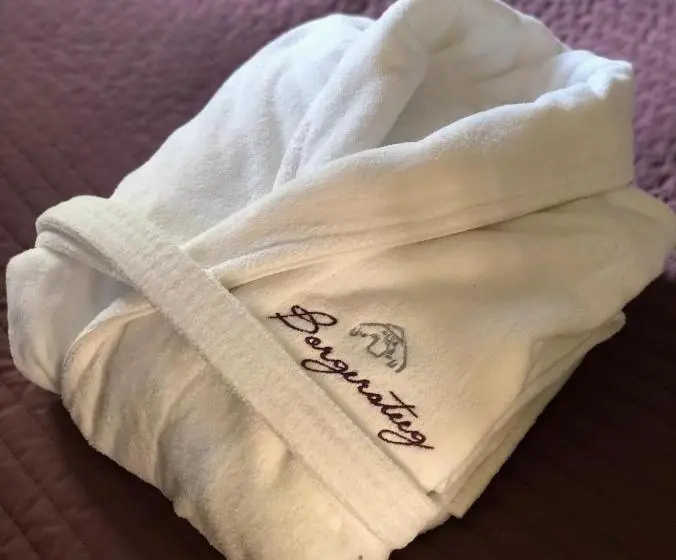 デラックスルーム, B&b Borgersteeg