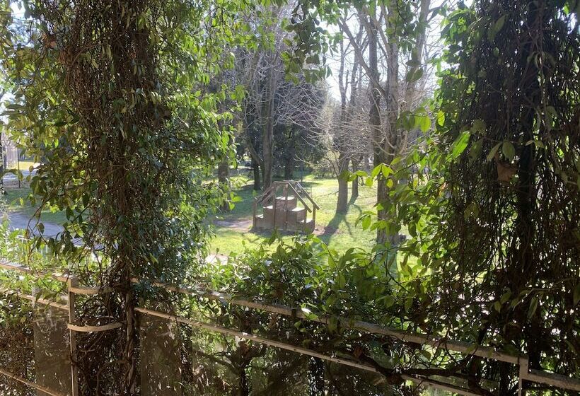 Deluxe Rum, Villa Mase