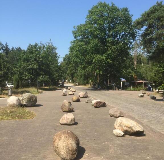 스탠다드 룸 공동 욕실, Op Nijverdal