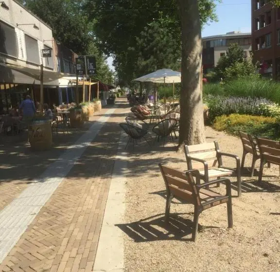 スタンダードシングルルーム, Op Nijverdal