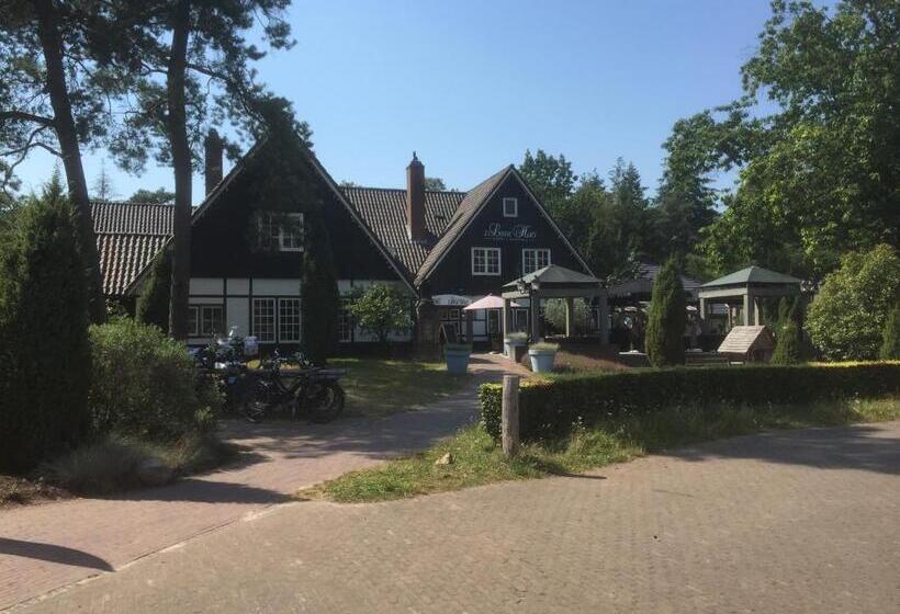 标准单人间, Op Nijverdal