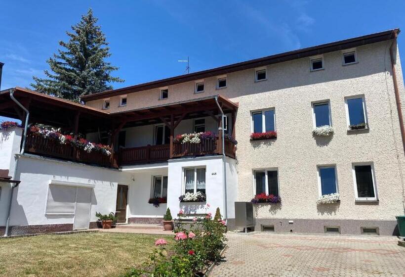 غرفة قياسية, Penzion U Martina