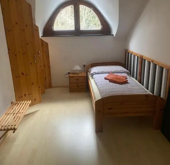 スタンダードシングルルーム, Viehberghütte