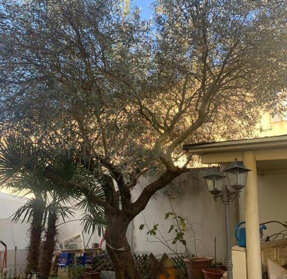 اتاق استاندارد, B&b Dal Fiocinino