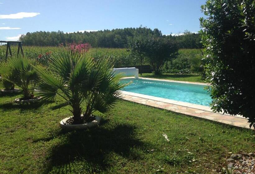 스탠다드 룸, Verolithos