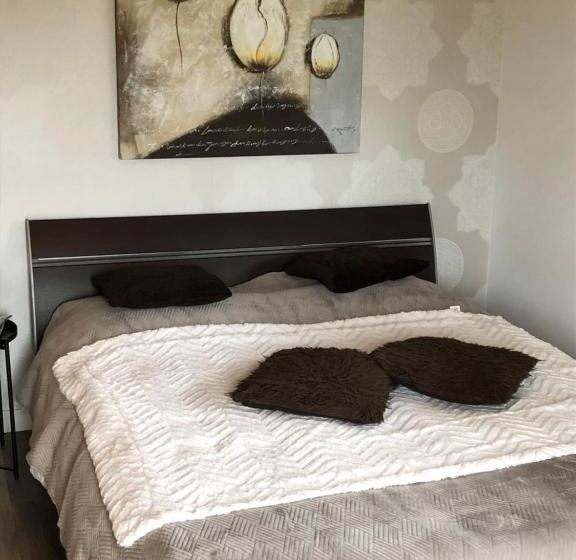 带大床的标准工作室, De Susel