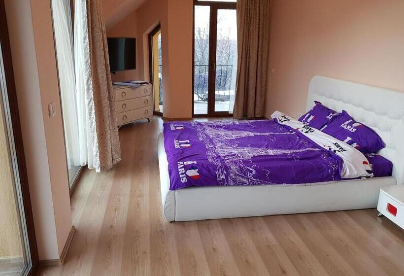 ビラホテル１ベッドルーム, Pensiunea Vila Mocanilor