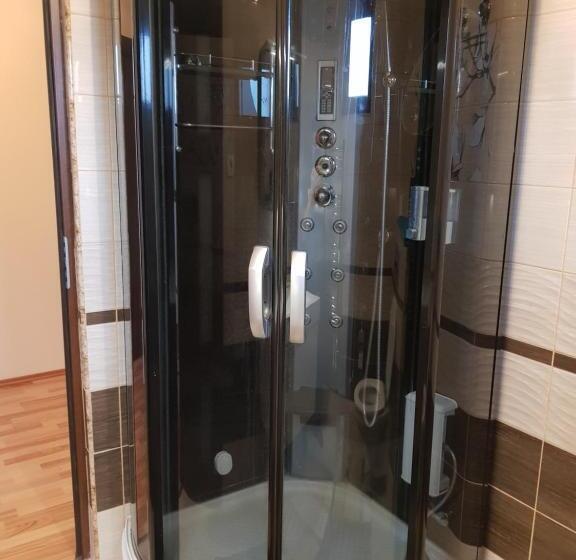 ‫فيلا غرفة نوم واحدة, Pensiunea Vila Mocanilor