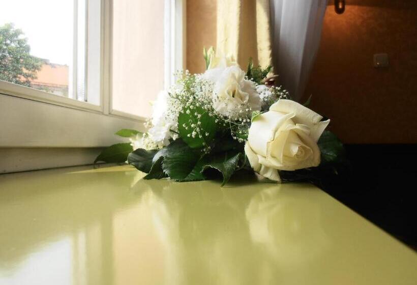 חדר סטנדרט, Calisia